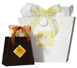Trapezoid Bags